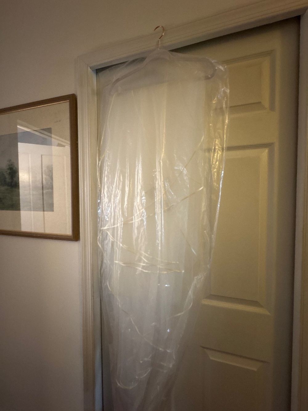 Bridal Cathedral Veil